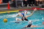 WWPolo vs CC  Wheaton College Women’s Water Polo vs Connecticut College. - Photo By: KEITH NORDSTROM : Wheaton, water polo